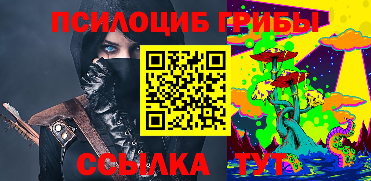 закладки  Вход с VPN  Карабулак  Галлюциногенные грибы прущие грибы 